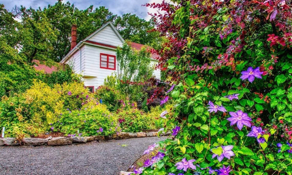 Rogerson Clematis Garden, United States